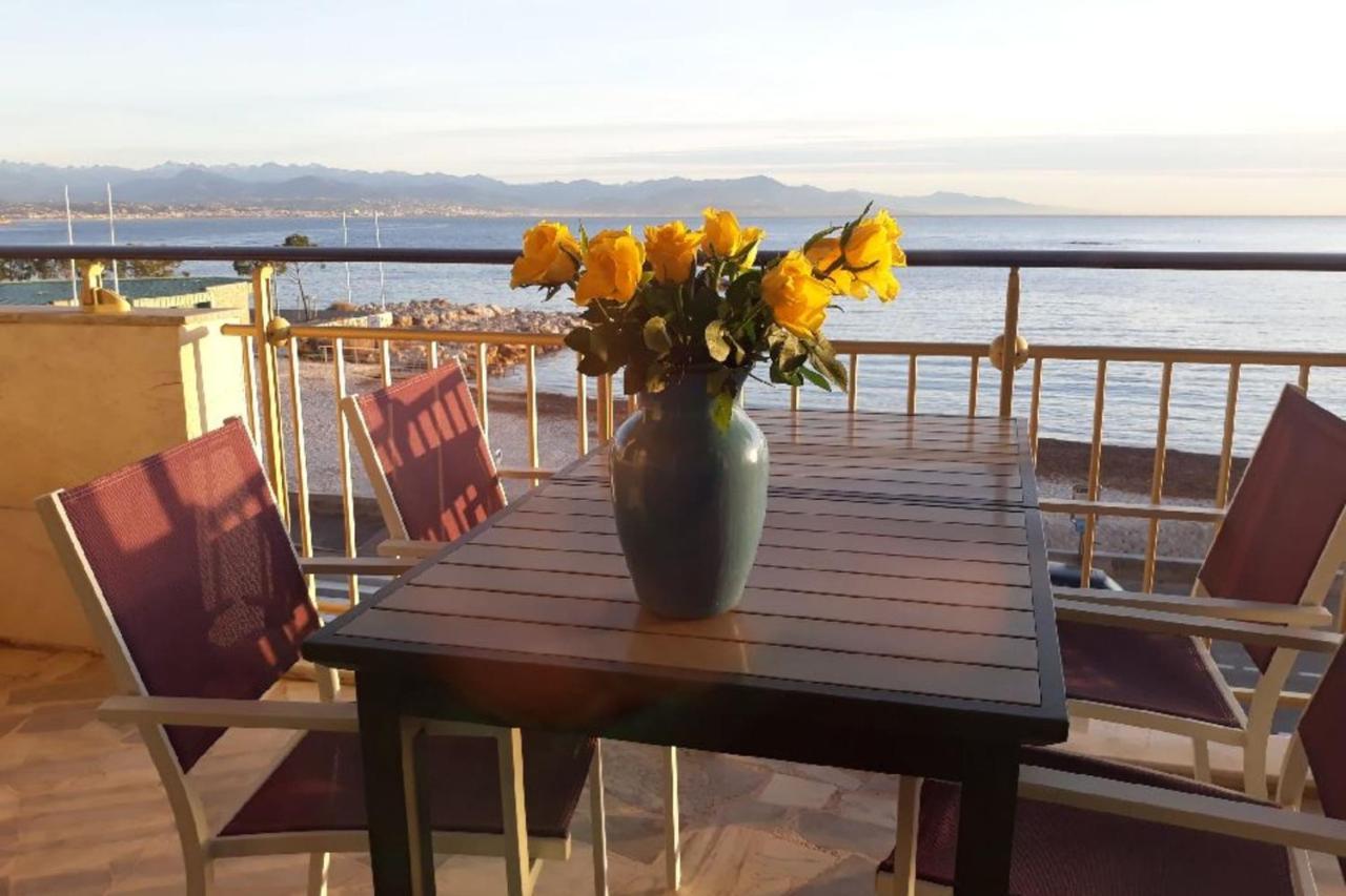 Seafront One Bedroom Apartment With A Terrasse Swimming Pool And A Parking Αντίμπ Εξωτερικό φωτογραφία